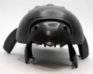 Figurine Mimela Splendens ( Kogané Mushi japonais )