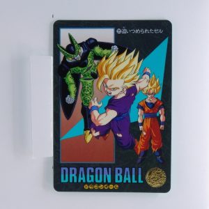 Carte Dragonball Visual adventure No.222