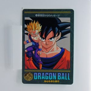 Carte Dragonball Visual adventure No.224