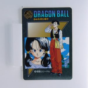 Carte Dragonball Visual adventure No.228