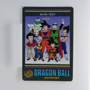 Carte Dragonball Visual adventure No.232