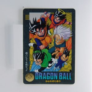 Carte Dragonball Visual adventure No.244