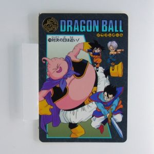 Carte Dragonball Visual adventure No.248