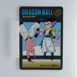Carte Dragonball Visual adventure No.251