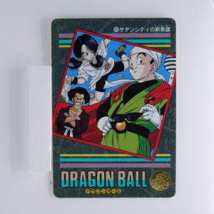 Carte Dragonball Visual adventure No.284