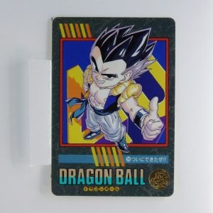 Carte Dragonball Visual adventure No.290