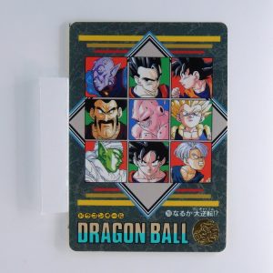 Carte Dragonball Visual adventure No.293
