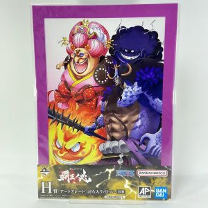 Plate Art Uchi Iri Battle - hao no Cho with One piece Treasure Cruise - Kaido et Big mom