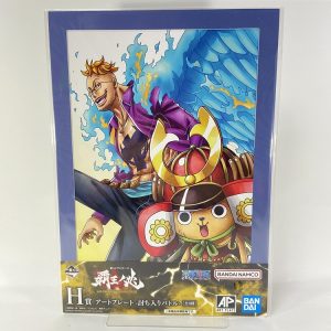 Plate Art Uchi Iri Battle - hao no Cho with One piece Treasure Cruise - Marco et chopper