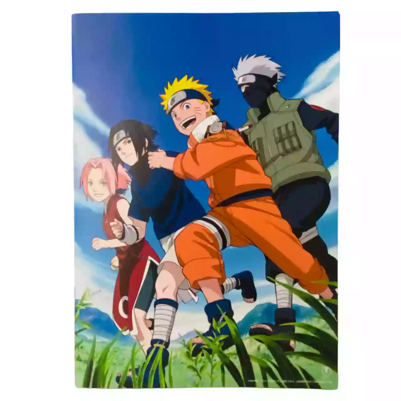 Brochure cinéma Film Naruto et la Princesse des Neiges – Image 2